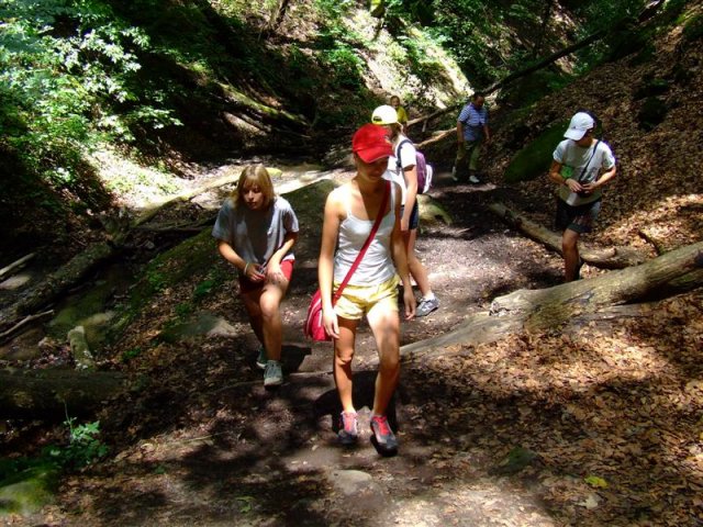 DSCF0122 (Medium)